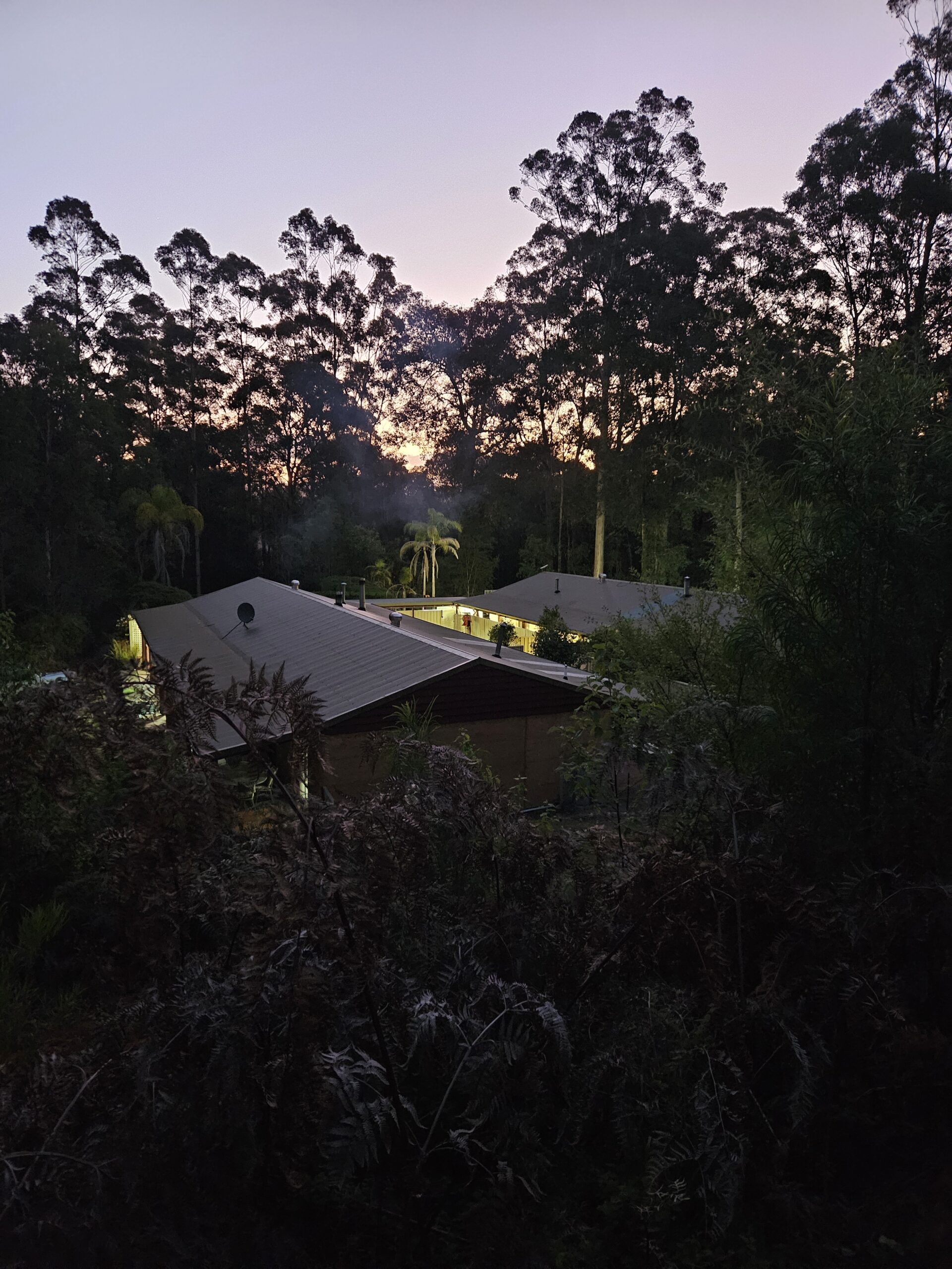 Karri forest surrounding Pemberton Forest Cottages