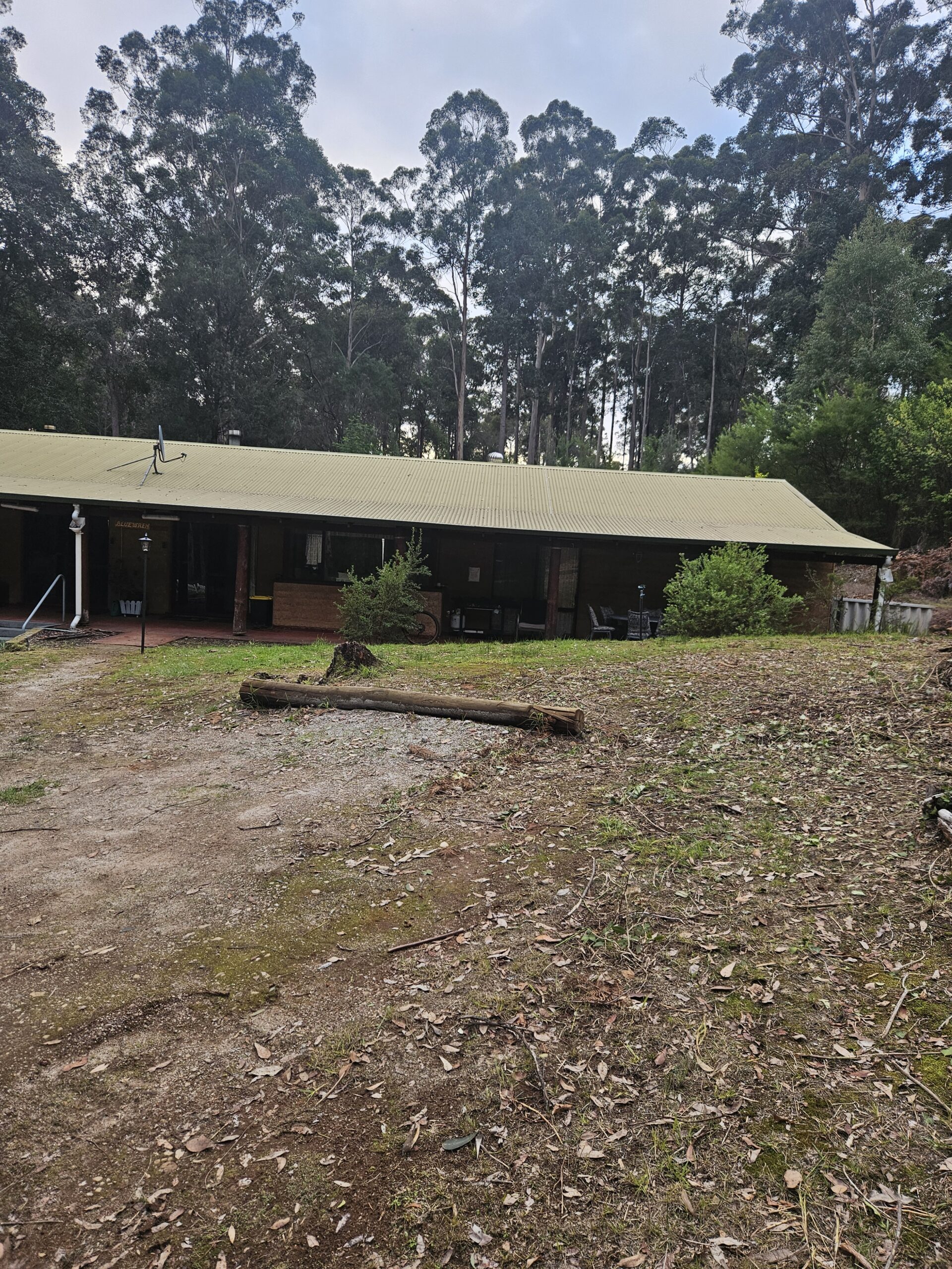 Cottage exterior surrounded by Karri trees